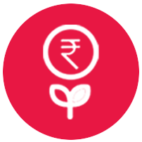 Investment Philosophy - Earnings